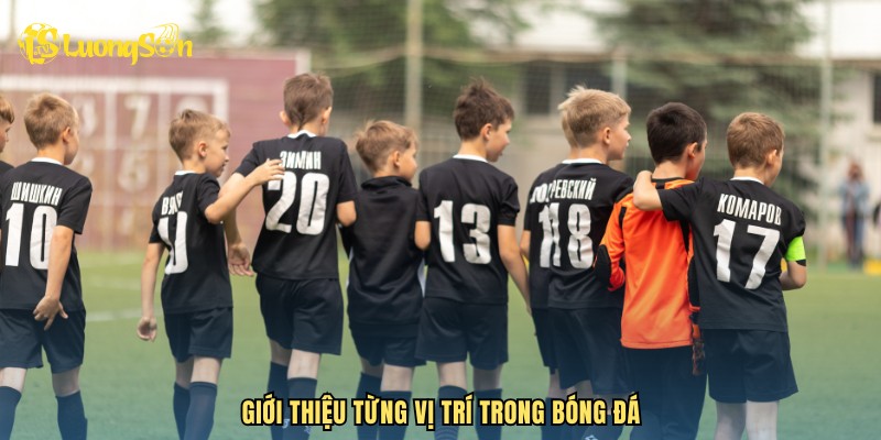 Giới thiệu từng vị trí trong bóng đá