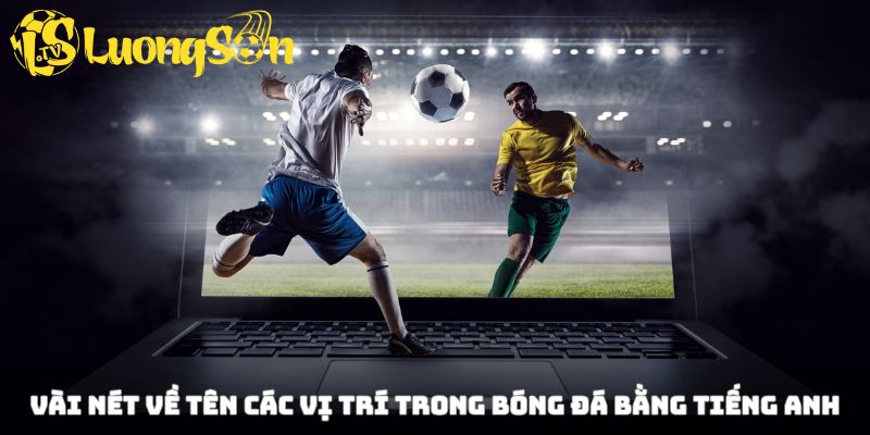 Vài điều khi tìm hiểu tên các vị trí trong bóng đá bằng tiếng Anh