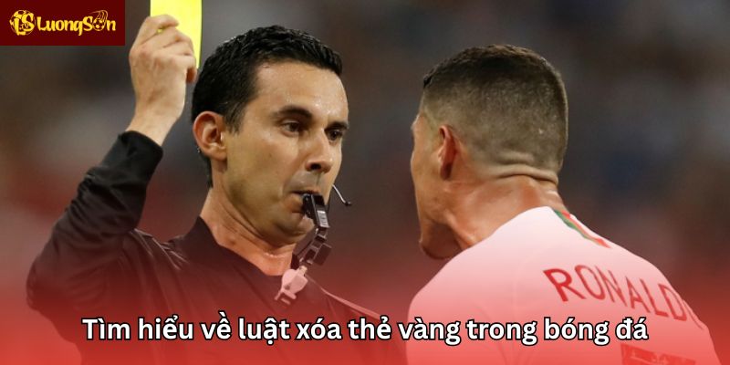 Khám phá luật xóa thẻ vàng trong Tivi Trực tiếp bóng đá chi tiết cùng Luongsontv